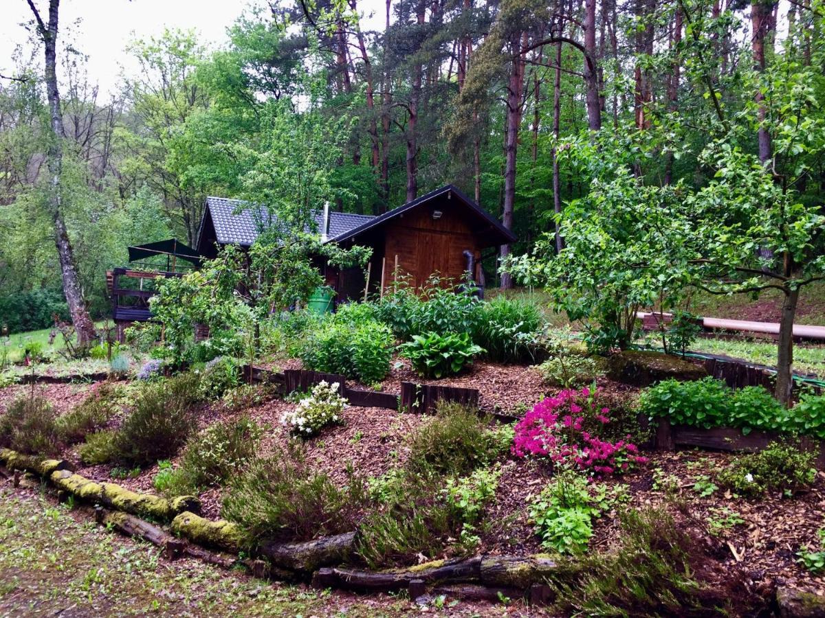 Cosy Chalet With Private Sauna In Bousseviller 객실 사진