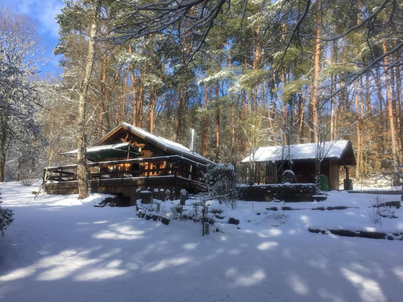 Cosy Chalet With Private Sauna In Bousseviller 외부 사진